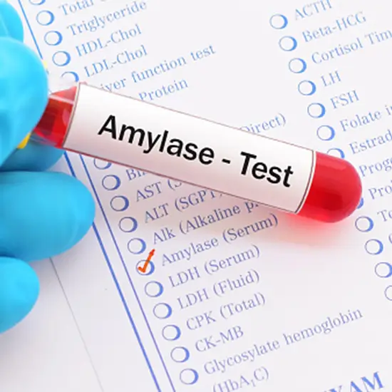 amylase fluids
